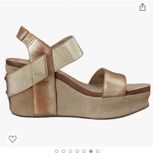 OTBT Wedges